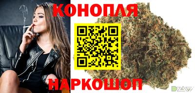 СК Обь
