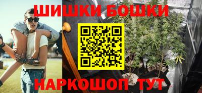 СК Обь