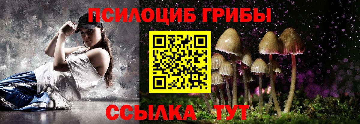 Псилоцибиновые грибы Cubensis  Вход с VPN  Тосно  Псилоцибиновые грибы Cubensis 